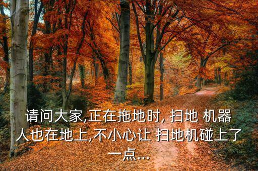 請問大家,正在拖地時, 掃地 機器人也在地上,不小心讓 掃地機碰上了一點...