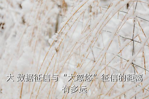 大 數(shù)據(jù)征信與“大忽悠”征信的距離有多遠(yuǎn)