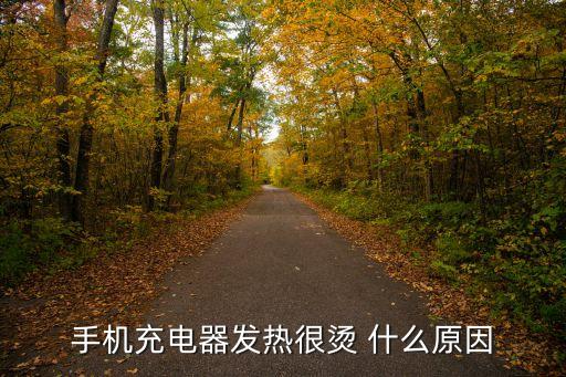 品勝 數(shù)據(jù)線超級發(fā)燙,品勝數(shù)據(jù)線無法超級快充