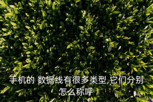 手機(jī)的 數(shù)據(jù)線有很多類型,它們分別怎么稱呼