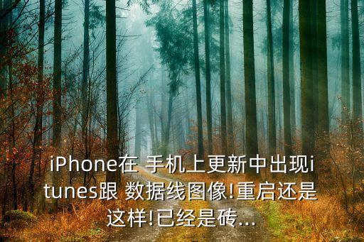 iPhone在 手機上更新中出現(xiàn)itunes跟 數(shù)據(jù)線圖像!重啟還是這樣!已經(jīng)是磚...