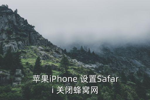  蘋果iPhone 設(shè)置Safari 關(guān)閉蜂窩網(wǎng)