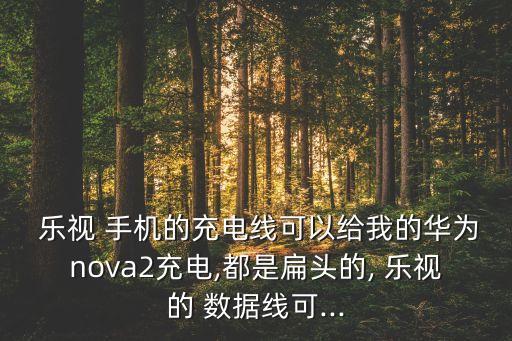  樂視 手機(jī)的充電線可以給我的華為nova2充電,都是扁頭的, 樂視的 數(shù)據(jù)線可...