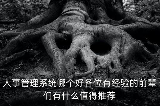 薪人薪事自動(dòng)