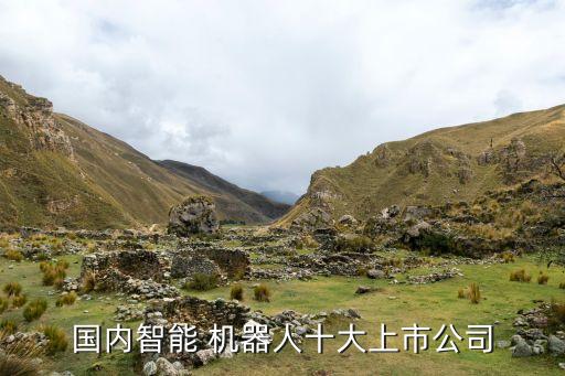 國(guó)內(nèi)智能 機(jī)器人十大上市公司