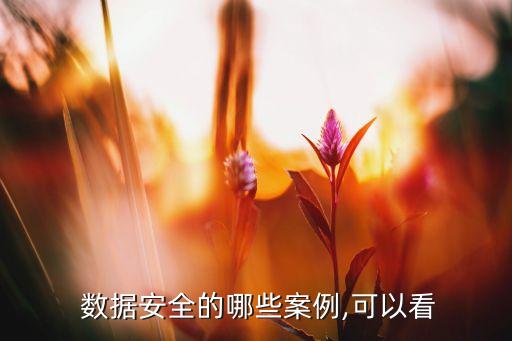 阿里巴巴集團(tuán)數(shù)據(jù)安全管理規(guī)范,全流程稅費(fèi)數(shù)據(jù)安全管理規(guī)范最新版