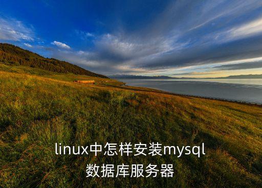 linux 數(shù)據(jù)庫軟件,Linux訪問MySQL數(shù)據(jù)庫