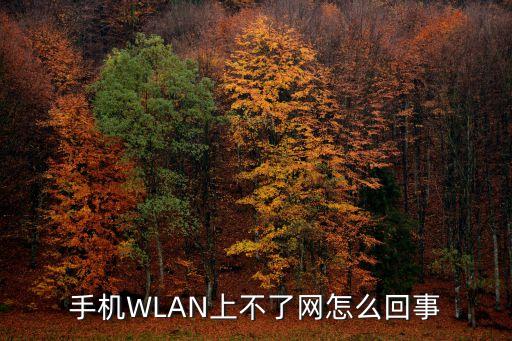 手機(jī)WLAN上不了網(wǎng)怎么回事