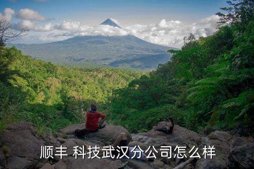 順豐科技大數(shù)據(jù)水平,順豐數(shù)據(jù)科技服務(wù)公司