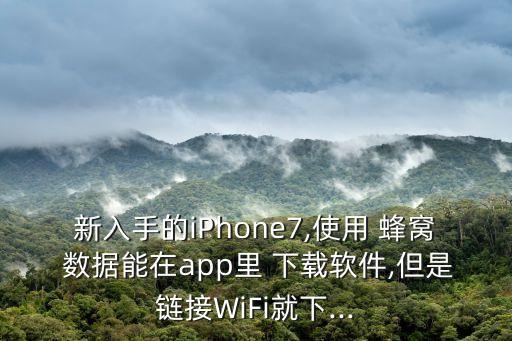 蜂窩數(shù)據(jù)不能下載,iphone蜂窩數(shù)據(jù)下載限制