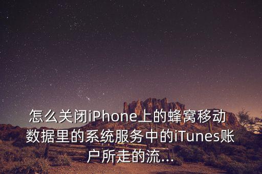 怎么關閉iPhone上的蜂窩移動 數(shù)據(jù)里的系統(tǒng)服務中的iTunes賬戶所走的流...