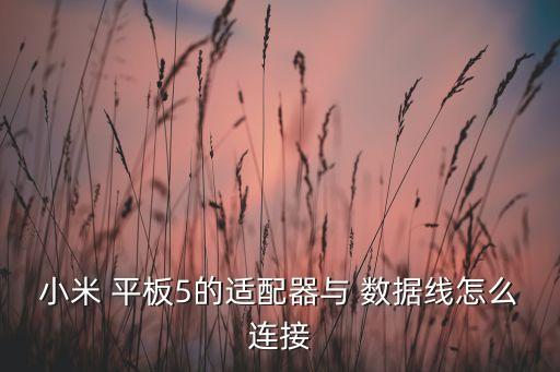 小米 平板5的適配器與 數(shù)據(jù)線怎么連接