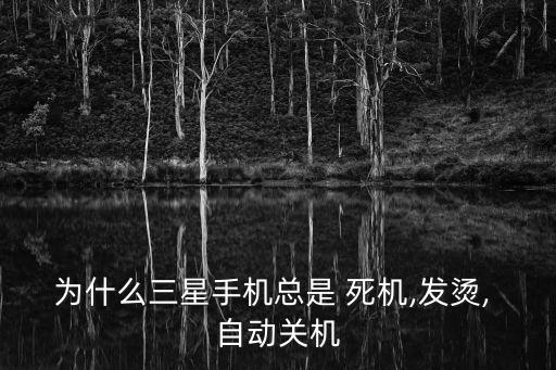 10.3.3自動死機(jī)