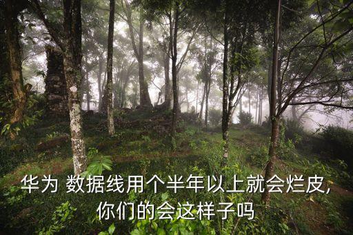 數(shù)據(jù)線時間長了后,為什么數(shù)據(jù)線用時間長了就松動