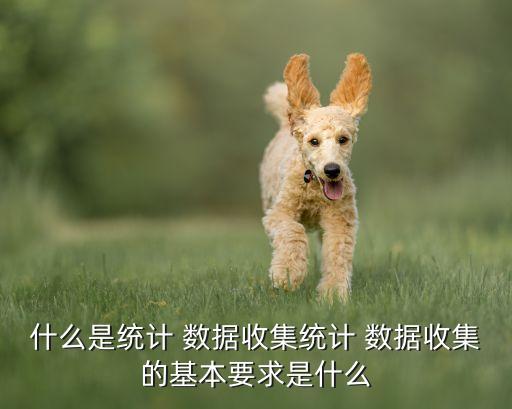 什么是統(tǒng)計(jì) 數(shù)據(jù)收集統(tǒng)計(jì) 數(shù)據(jù)收集的基本要求是什么