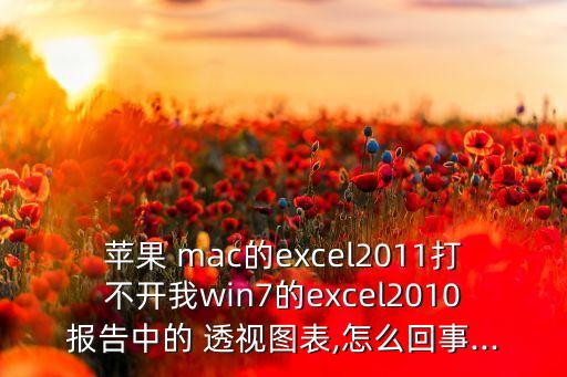 蘋果 mac的excel2011打不開我win7的excel2010報告中的 透視圖表,怎么回事...