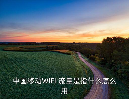 手機(jī)無(wú)線網(wǎng)數(shù)據(jù)流量怎么用,家里有無(wú)線網(wǎng)移動(dòng)數(shù)據(jù)開(kāi)著會(huì)走流量嗎?