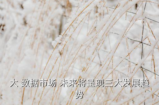 大 數(shù)據(jù)市場 未來將呈現(xiàn)三大發(fā)展趨勢