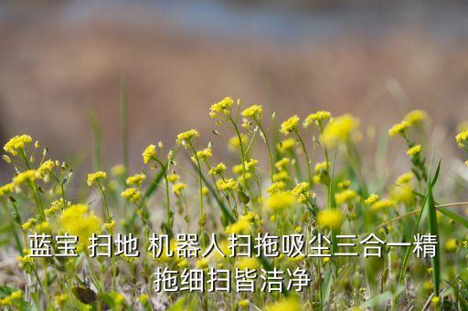 n 掃地機器人,掃地機器人到底實不實用