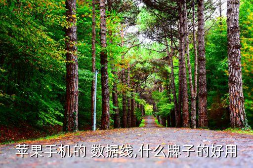 蘋果手機的 數(shù)據(jù)線,什么牌子的好用