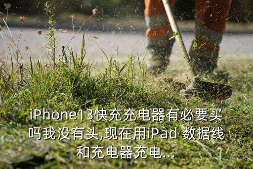 iPhone13快充充電器有必要買嗎我沒(méi)有頭,現(xiàn)在用iPad 數(shù)據(jù)線和充電器充電...