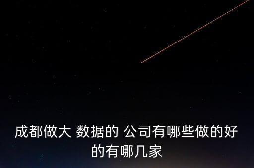 成都做大 數(shù)據(jù)的 公司有哪些做的好的有哪幾家