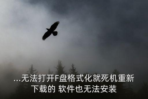 ...無法打開F盤格式化就死機(jī)重新下載的 軟件也無法安裝