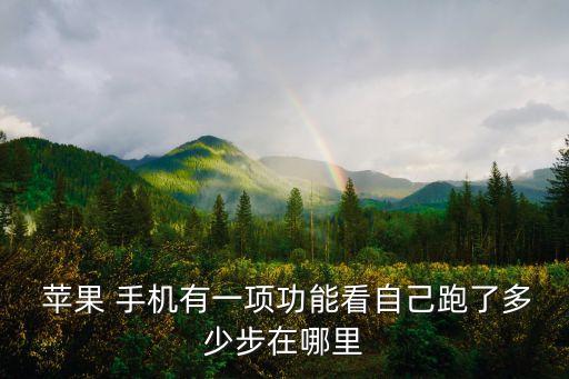  蘋果 手機(jī)有一項(xiàng)功能看自己跑了多少步在哪里