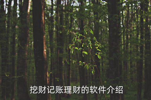  挖財(cái)記賬理財(cái)?shù)能浖榻B
