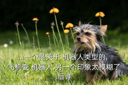...一個是關(guān)于 機器人類型的, 飛機變 機器人,另一個印象太模糊了,后詳