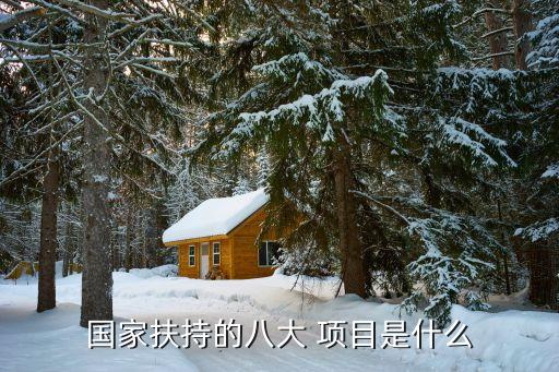國(guó)家扶持的八大 項(xiàng)目是什么
