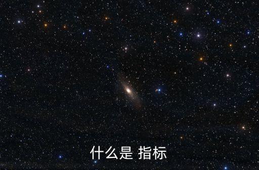 什么是 指標(biāo)