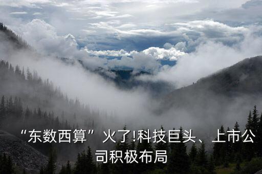 “東數(shù)西算”火了!科技巨頭、上市公司積極布局