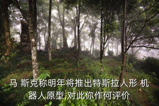 馬 斯克稱明年將推出特斯拉人形 機(jī)器人原型,對(duì)此你作何評(píng)價(jià)