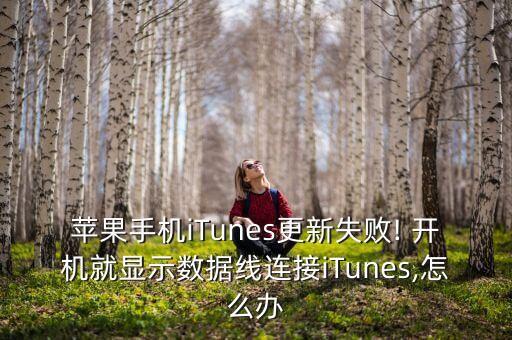 蘋果手機(jī)iTunes更新失敗! 開機(jī)就顯示數(shù)據(jù)線連接iTunes,怎么辦