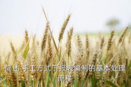 簡述 手工方式下報表編制的基本處理流程