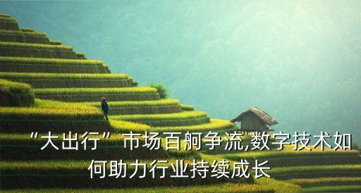 “大出行”市場百舸爭流,數(shù)字技術(shù)如何助力行業(yè)持續(xù)成長