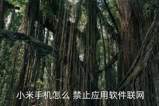 小米禁止移動(dòng)數(shù)據(jù)連接網(wǎng)絡(luò)設(shè)置,小米手機(jī)可連接wifi但不能用移動(dòng)數(shù)據(jù)