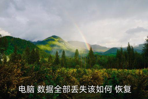  電腦 數(shù)據(jù)全部丟失該如何 恢復(fù)
