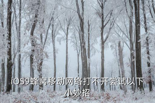 iOS9蜂窩移動(dòng)網(wǎng)絡(luò)打不開嘗試以下小妙招