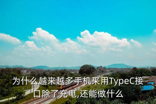 為什么越來(lái)越多手機(jī)采用TypeC接口除了充電,還能做什么