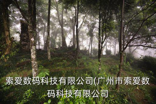 索愛數(shù)碼科技有限公司(廣州市索愛數(shù)碼科技有限公司