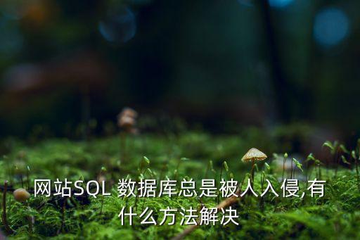 網(wǎng)站SQL 數(shù)據(jù)庫總是被人入侵,有什么方法解決