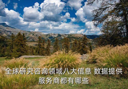 全球研究咨詢領(lǐng)域八大信息 數(shù)據(jù)提供服務(wù)商都有哪些