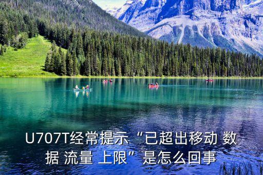 已達(dá)到移動(dòng)數(shù)據(jù)流量上限,移動(dòng)數(shù)據(jù)關(guān)閉了,但是還有流量消耗
