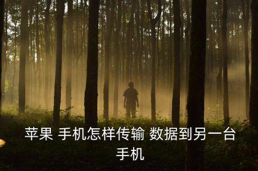 蘋果手機(jī)怎么數(shù)據(jù)轉(zhuǎn)移,蘋果換手機(jī)如何數(shù)據(jù)轉(zhuǎn)移