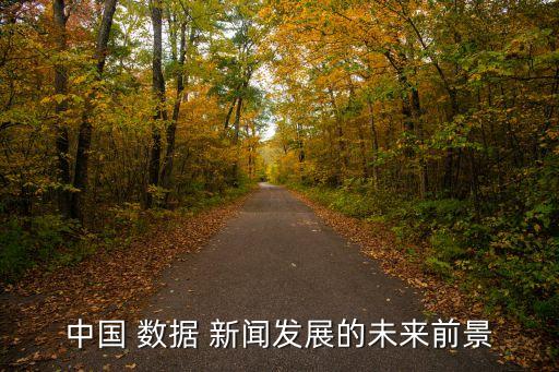 中國(guó) 數(shù)據(jù) 新聞發(fā)展的未來(lái)前景