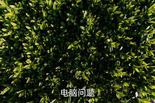 電腦問題