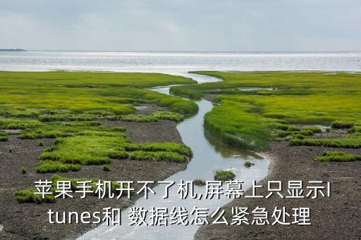 蘋果出現(xiàn)數(shù)據(jù)線圖標(biāo)是怎么回事