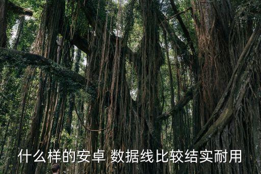 什么樣的安卓 數據線比較結實耐用
